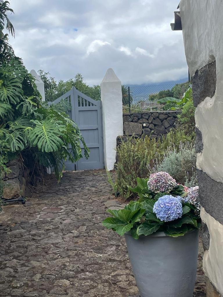 Casas La Principal Guest House San Pedro  Eksteriør bilde