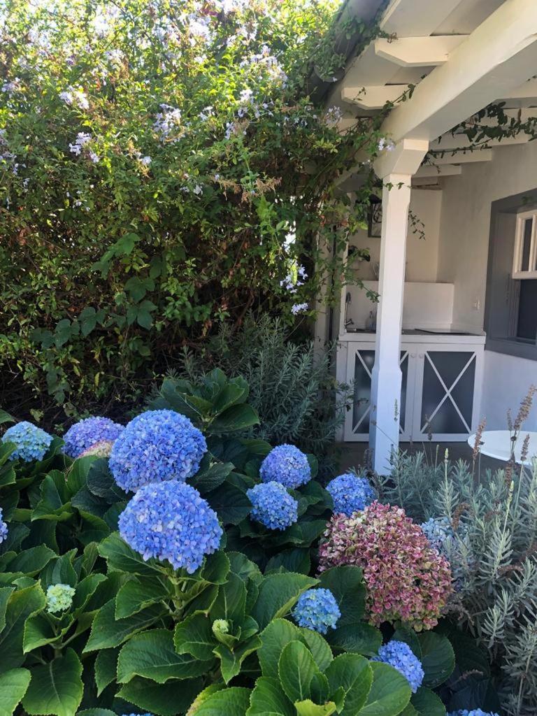 Casas La Principal Guest House San Pedro  Rom bilde