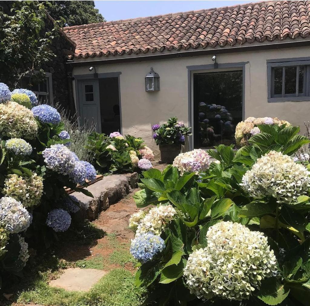 Casas La Principal Guest House San Pedro  Eksteriør bilde